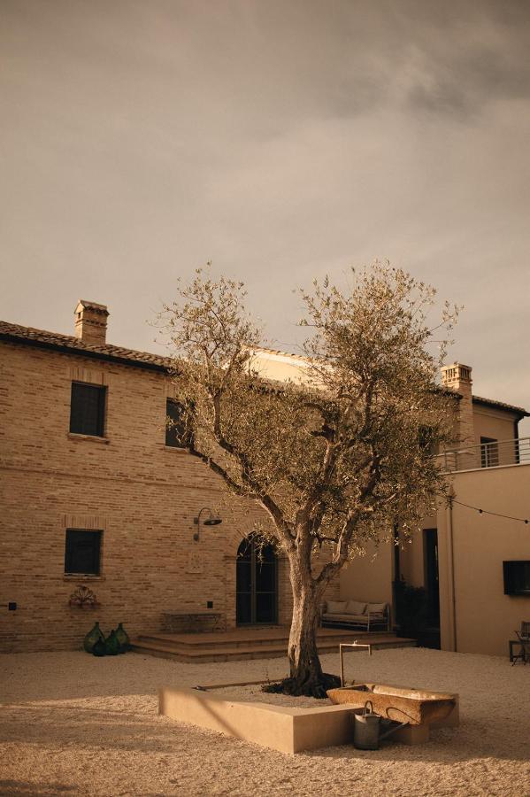 Casale Tre Gelsi Bed & Breakfast Cingoli Exterior foto